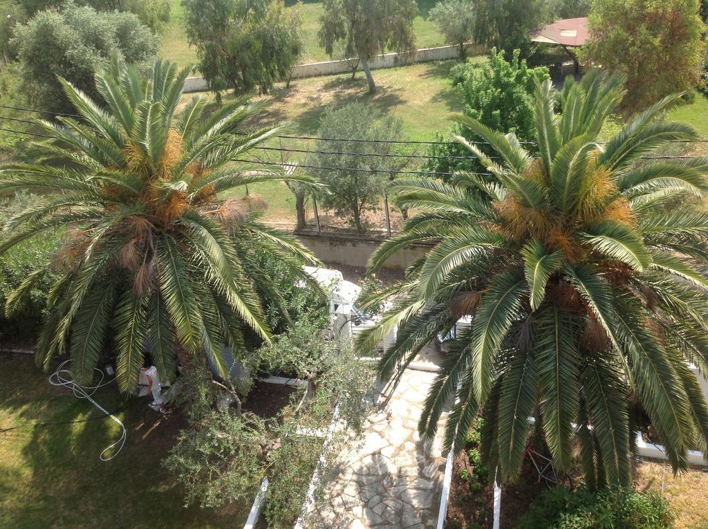 Olympic Bibis Hotel Metamorfosi  Bagian luar foto